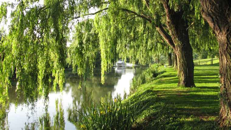 River Cam
